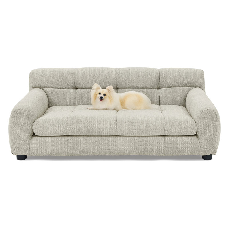 Canapé doux et confortable avec dossier et accoudoirs, adapté aux canapés rectangulaires modernes pour petits et moyens chiens