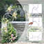 Metal Garden Arches