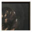 Intrepid Framed Painting