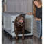 Caisse pour animaux-97966505