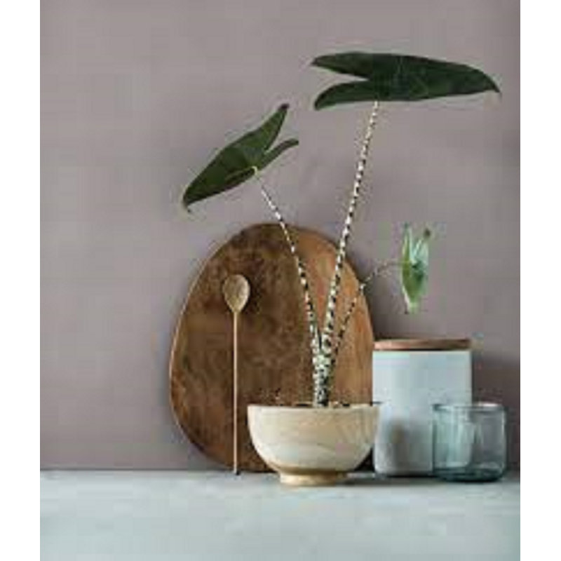 Tear Natural Wooden Plate