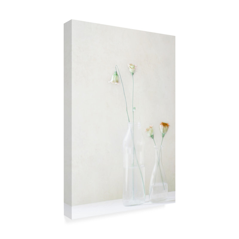Delphine Devos  Simplicity And Elegance Canvas Art, L 12 po x H 19 po
