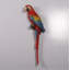 Statue perroquet Ara rouge