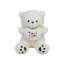White Teddy Bear Shaped Plush Decorative Cushion with Heart, Soft 3D Throw Pillow for Sofa Bedroom Home Decor-1401588910
