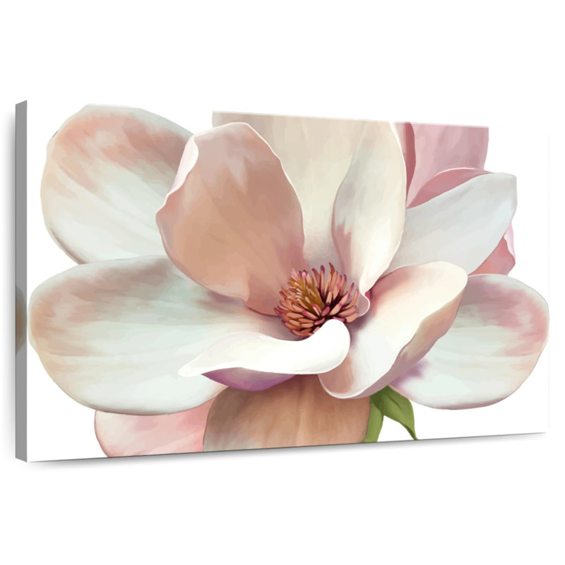 Magnolia rose Harnek, H 20 po x l 30 po
