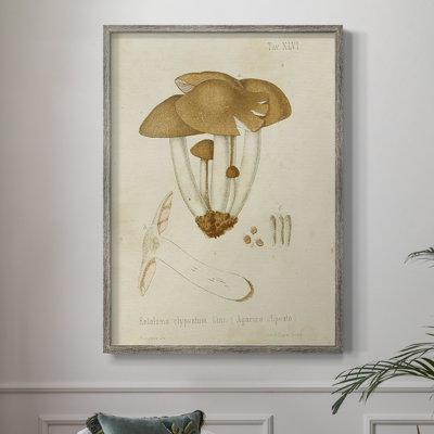 Reproduction encadrée champignon V Variétés - bois massif