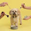 Petsware Dog Bowls-56471316-56471315