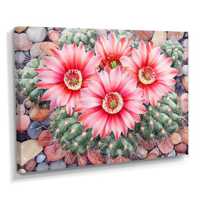 «Pincushion Cactus Flowers I - Floral Cactus, reproduction sur toile