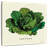 Yarlin Linen Vegetable II