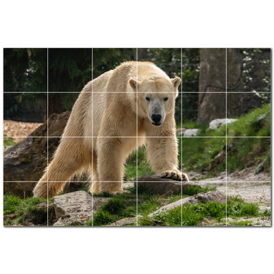Murale en céramique satinée Bear Photo 8 po x 8 po