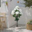 121.92cm Plant