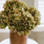 Hydrangea Faux Floral