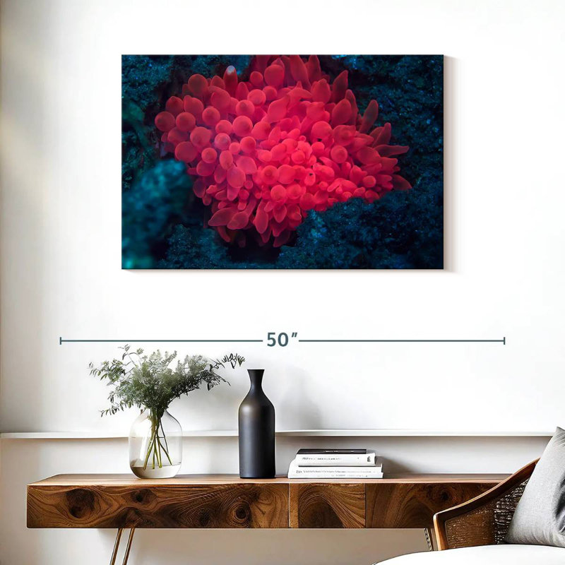 Récif de corail rose Brampt
