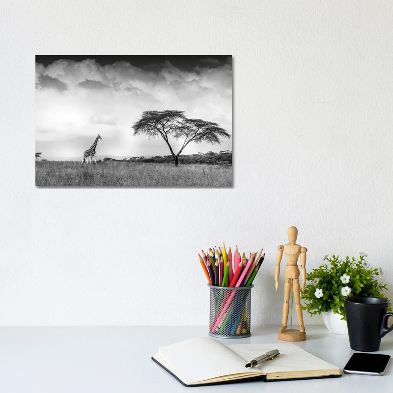 And I Dreamed of Africa by Jeffrey C. Sink - 1 Piece Wrapped Canvas Wall Art, 20.32cm H x 30.48cm W x 1.91cm D