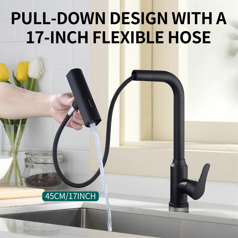 Belfry Kitchen Kitchen Faucet