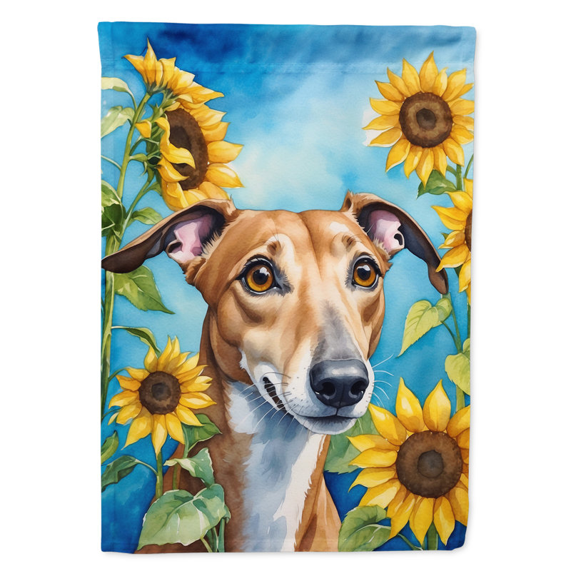 Drapeau de la maison du tournesol Malamute d'Alaska, Lévrier brun