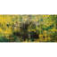 Magic Woods Painting by Irina Gorbman-987508830