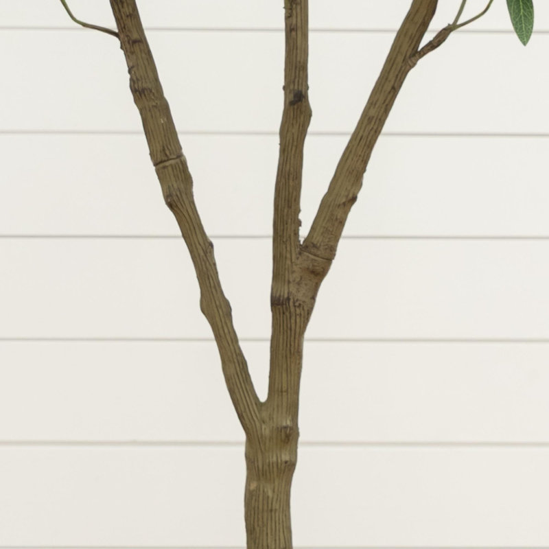 Olive artificielle en pot décoratif blanc, 5ft