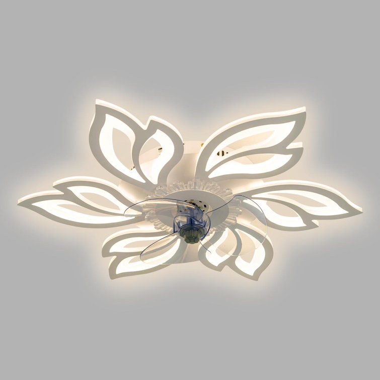 Ceiling Fan with LED Lights