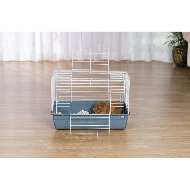 Cage pour petits animaux Niehaus, Bleu glacier, H 15,75 po x l 17,25 po x L 27,25 po