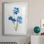 Blue Blossom Botanical I - Cadre photo, reproduction d'art sur papier-433768033-433768032