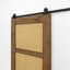 Alondria Oak with Rattan Barn Door-23087076