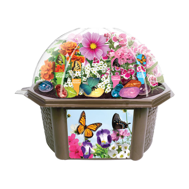 Biosphere Terrarium - Jardin de papillons généreux