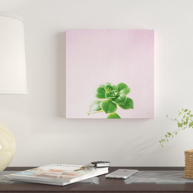 « succulent simplicité on rose v », reproduction d’impression sur toile, H 12 po x l 12 po x P 1,5 po, Toile tendue