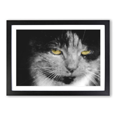 Portrait of a Cat Vol.4 - Picture Frame Painting