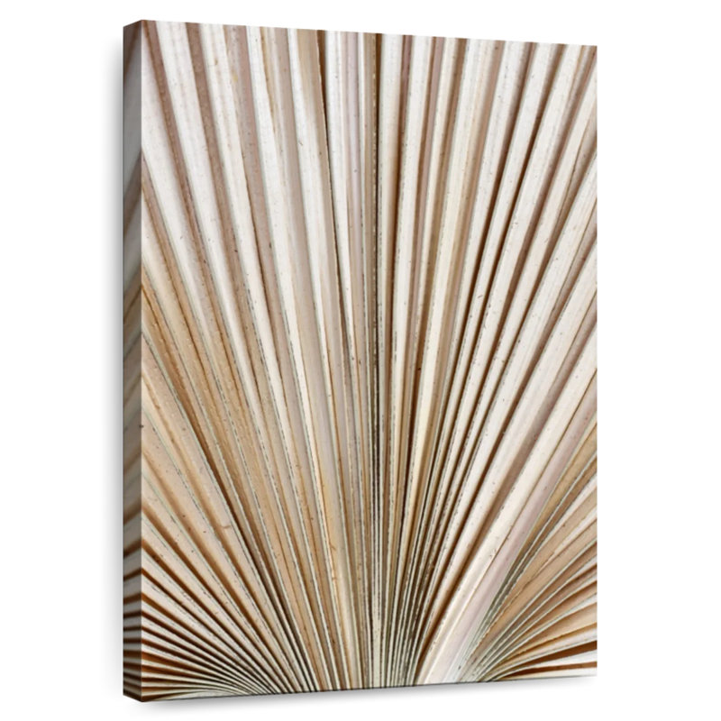 Harnek Dried Palm Leaf, 48" H x 32" W