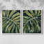 Reproduction encadrée Nocturnal Monstera I-Premium - prête à être accrochée - aucun clou requis - aucun clou requis-280901699-280901724