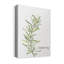 Fresh Sprig Rosemary - reproduction d'art sur toile tendue-816221103