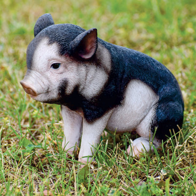 Sitting Baby Pig Statue