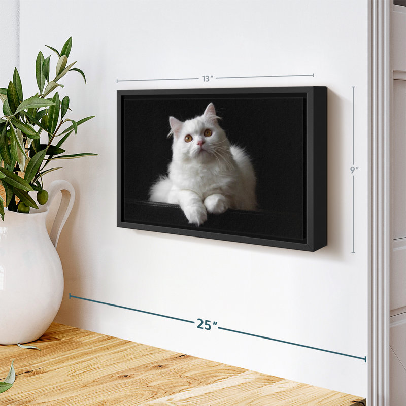 Impression sur toile de chat persan blanc, H 9 po x l 13 po