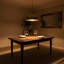 Luminaire suspendu Mid-Century Davenport