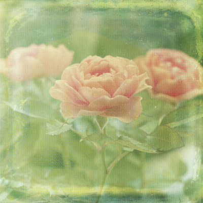 Dream In Pink X by Jennifer Jorgensen - Wrapped Canvas Print