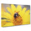 Bee Collecting Pollen in Abstract - Wrapped Canvas-55313889