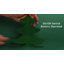 Enseigne murale verte 8,75 po