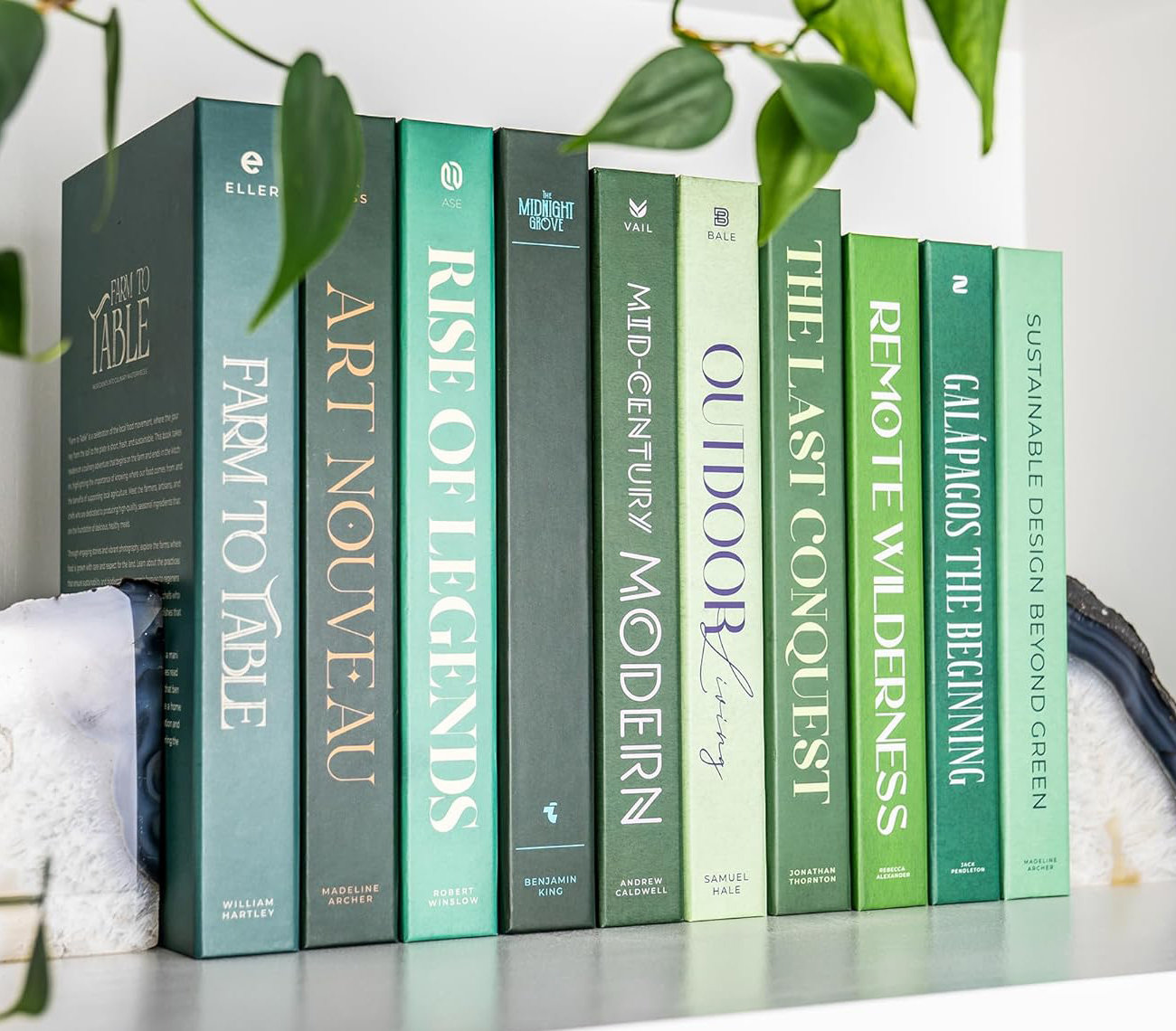 Astoria Grand Green Decorative Books 10 Book Set with 3 Sizes