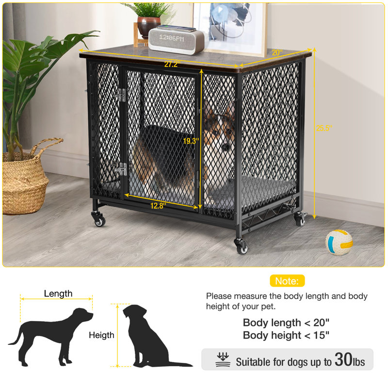 Tucker Murphy Pet™ Pet Carrier, 64.8cm H x 69.1cm W x 50.8cm D