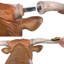 Sculpture murale Texas Longhorn Bull