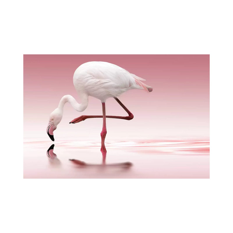 Flamingo by Doris Reindl - Wrapped Canvas Print, 20.32 cm H x 30.48 cm W
