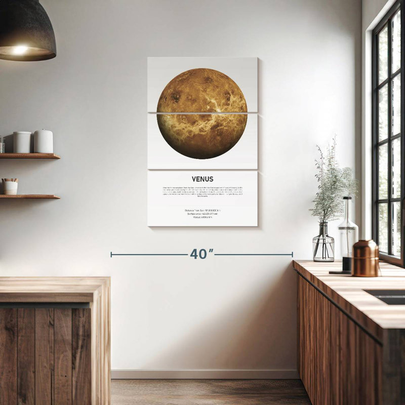 Oberle Venus Light, 38" H x 24" W