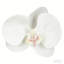 Arrangement floral artificiel-1006396626