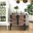 Trunk Table And Side Table S/3 with Large Storage Dress
