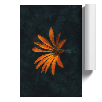 Orange Flower In Bloom - No Frame Print