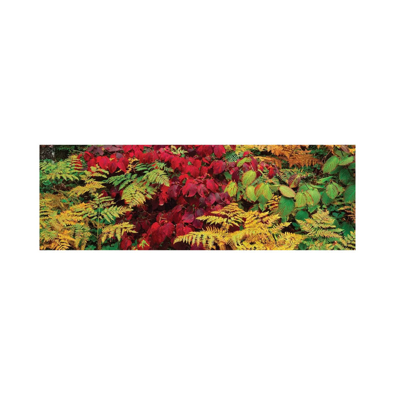 Fall Foliage In A Forest, Adirondack Mountains, Franklin County, New York State, USA II - Wrapped Canvas Panoramic Print