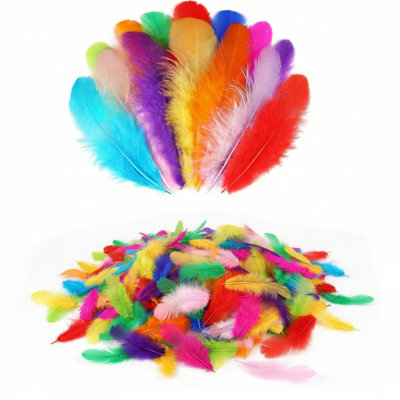 Plumes de coq artisanales - 300 pièces de plumes colorées de 3 à 5 pouces en vrac pour l'artisanat de bricolage à la maternelle, décorations de fête de mariage, articles de fête Dream Catcher
