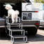 Rampe pour chien légère et pliable, surface à empreintes de pattes antidérapantes, cadre renforcé, réduction du stress des hanches et des articulations, conception facile à transporter, stress
