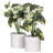11.5'' Faux Plant in Pot-94734881